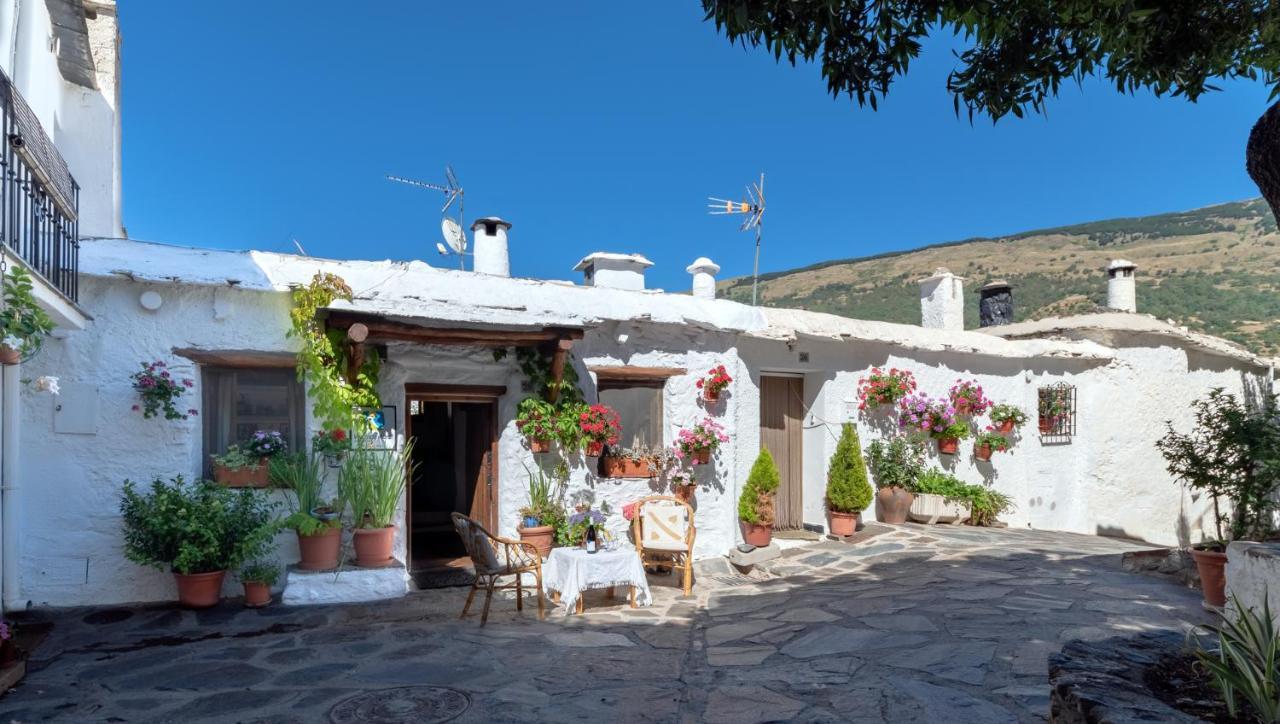 El Gato Negro Villa กาปีเลย์รา ภายนอก รูปภาพ